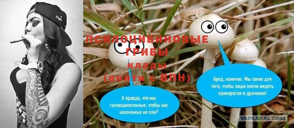 COCAINE Бородино
