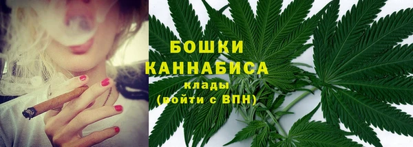 a pvp Каменногорск