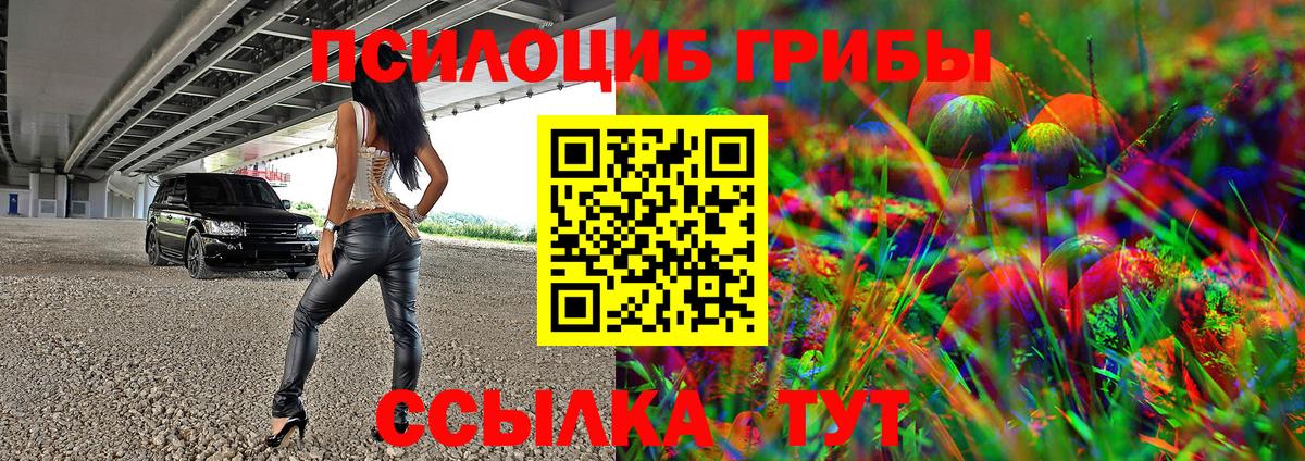 Галлюциногенные грибы прущие грибы  Вход с VPN  Северск 