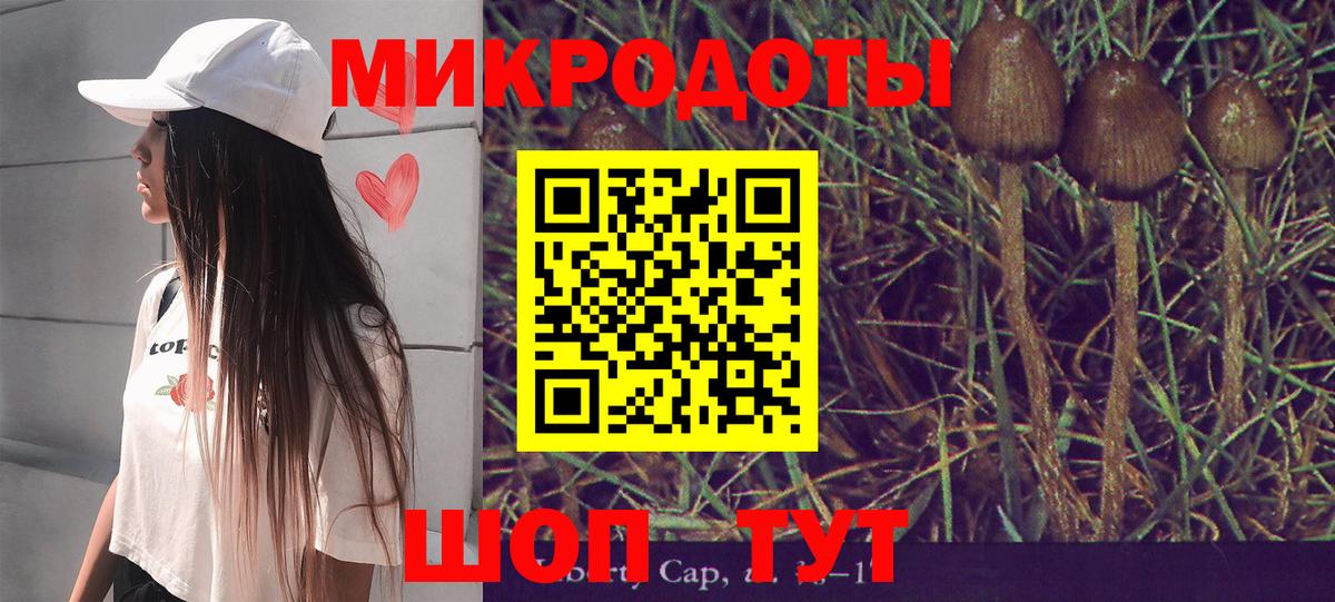 Галлюциногенные грибы Psilocybine cubensis Северск